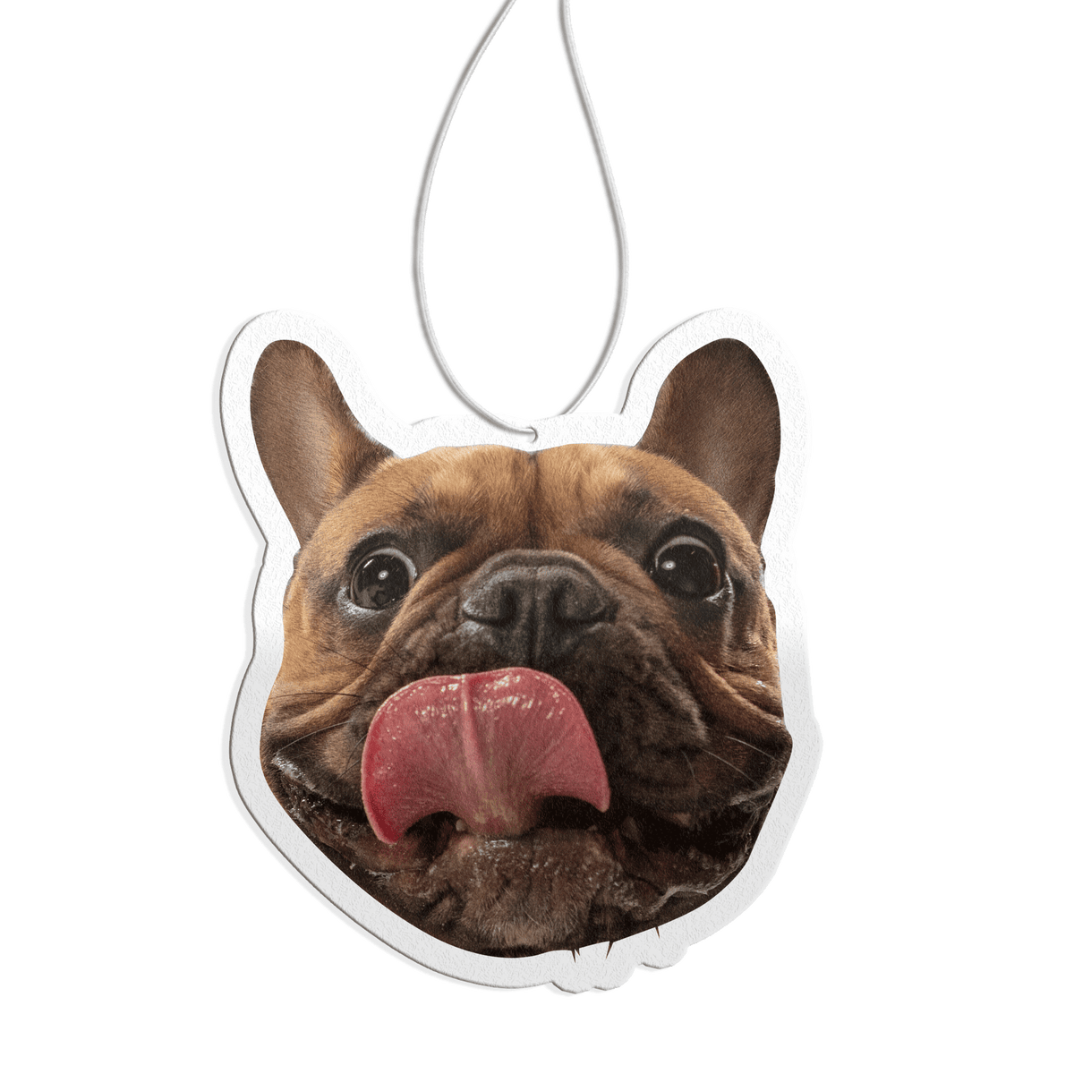 ScentSnap - Air Freshener!