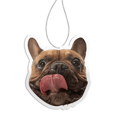 ScentSnap - Air Freshener!