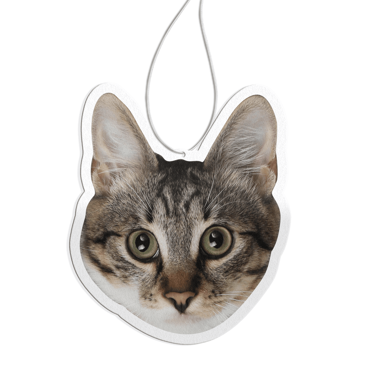 ScentSnap - Air Freshener!