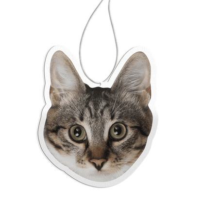 ScentSnap - Air Freshener!